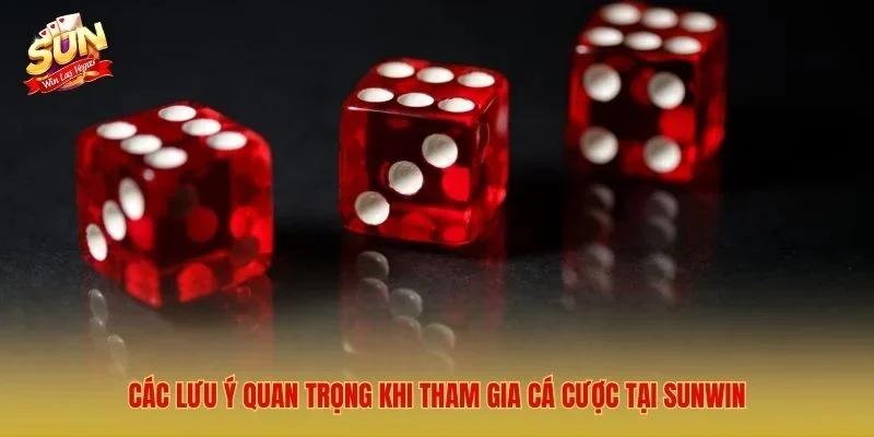 Sunwin ⭐️ Link Tải Cổng Game Sun win Mới Nhất 2026 Các lưu ý quan trọng khi tham gia cá cược tại Sunwin